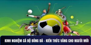 Bí quyết nâng cao hiệu quả với cách chơi cá độ bóng đá