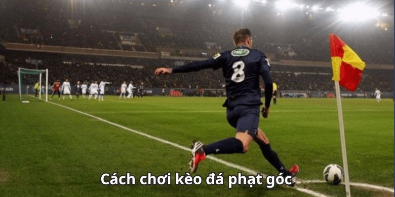 Cách đọc và phân tích khi bắt kèo phạt góc