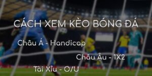 Tìm hiểu khái niệm xem kèo bóng đá