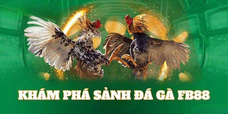 Đá gà FB88 Trải nghiệm giải trí đặc sắc tại FB88
